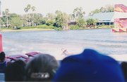 029-Water skiing